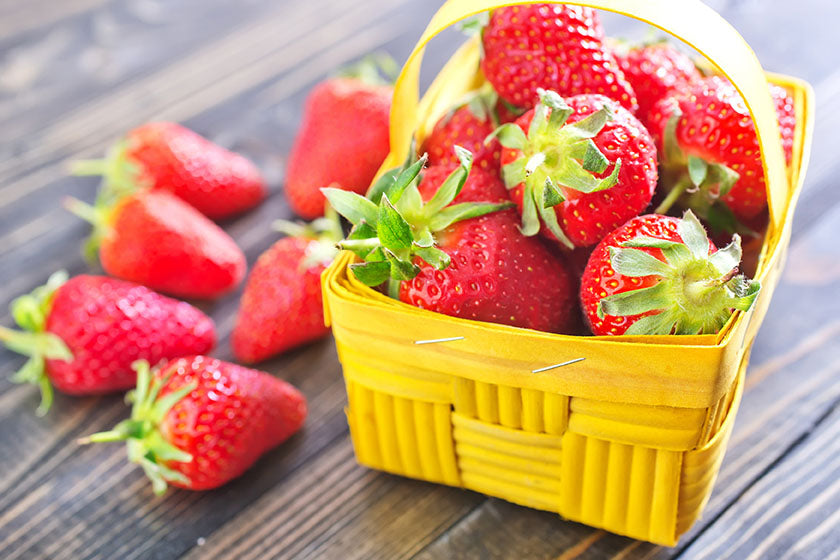 Strawberry Seascape (Fragaria ananassa) - Shrub Seedling