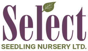 Navigate back to Select Seedling Nursery homepage
